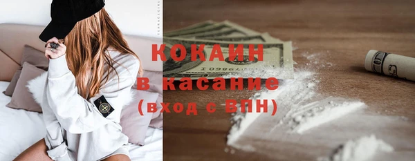 сатива Козловка
