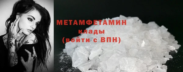 сатива Козловка