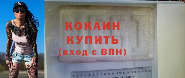 сатива Козловка
