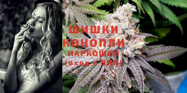 сатива Козловка