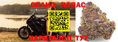 молекула духа Татарск