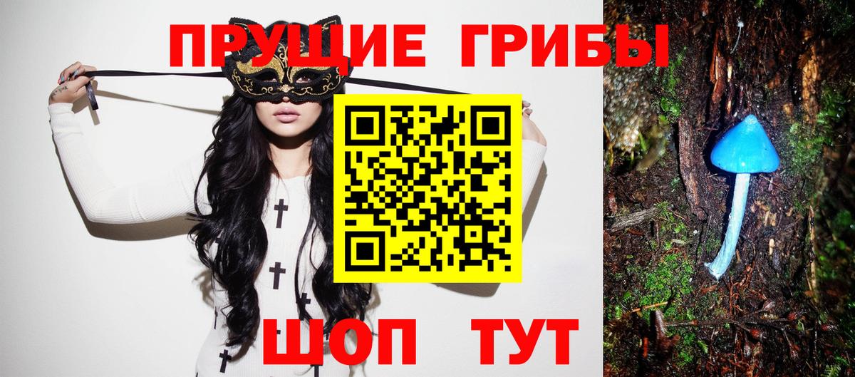 Псилоцибиновые грибы Psilocybe  Вход с VPN  Красноперекопск 