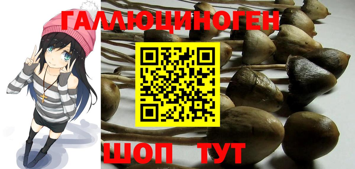 Меф МЯУ МЯУ   ГАШ  A-PVP СОЛЬ   Красноперекопск  Канабис  Вход с VPN 
